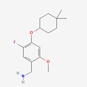 molecular formula C16H24FNO2 B594239 (4-((4,4-Dimethylcyclohexyl)oxy)-5-fluoro-2-methoxyphenyl)methanamine CAS No. 1224048-15-0