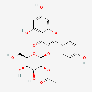 molecular formula C23H22O12 B594275 2''-Acetylastragalin CAS No. 1206734-95-3