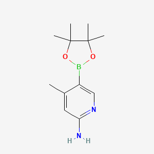 molecular formula C12H19BN2O2 B594323 4-Methyl-5-(4,4,5,5-tetramethyl-1,3,2-dioxaborolan-2-YL)pyridin-2-amine CAS No. 1220219-94-2