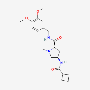 (2S,4S)-4-[(cyclobutylcarbonyl)amino]-N-(3,4-dimethoxybenzyl)-1-methylpyrrolidine-2-carboxamide