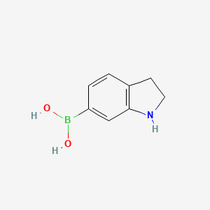 molecular formula C8H10BNO2 B594351 Indolin-6-ylboronic acid CAS No. 1253912-15-0