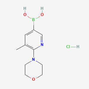 molecular formula C10H16BClN2O3 B594409 5-甲基-6-吗啉基吡啶-3-基硼酸盐酸盐 CAS No. 1231955-78-4