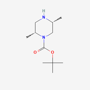 molecular formula C11H22N2O2 B594463 (2R,5R)-2,5-Dimethyl-piperazine-1-carboxylic acid tert-butyl ester CAS No. 1240586-48-4