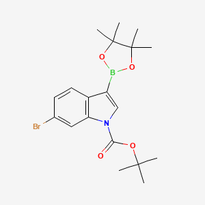 molecular formula C19H25BBrNO4 B594479 tert-Butyl 6-bromo-3-(4,4,5,5-tetramethyl-1,3,2-dioxaborolan-2-yl)-1H-indole-1-carboxylate CAS No. 1218790-27-2