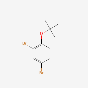 molecular formula C10H12Br2O B594488 2,4-Dibromo-1-tert-butoxybenzene CAS No. 1261988-70-8