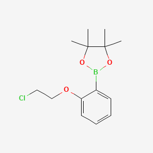 molecular formula C14H20BClO3 B594556 2-(2-(2-Chloroethoxy)phenyl)-4,4,5,5-tetramethyl-1,3,2-dioxaborolane CAS No. 1256359-02-0