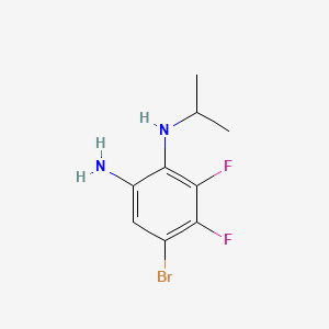 molecular formula C9H11BrF2N2 B594582 5-溴-3,4-二氟-2-(异丙基氨基)苯胺 CAS No. 1365271-32-4