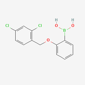 molecular formula C13H11BCl2O3 B594617 2-(2,4-Dichlorophenylmethoxy)phenylboronic acid CAS No. 1256355-69-7