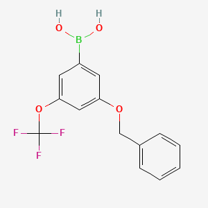molecular formula C14H12BF3O4 B594662 3-(苄氧基)-5-(三氟甲氧基)苯硼酸 CAS No. 1256345-95-5