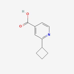 B594669 2-Cyclobutylisonicotinic acid CAS No. 1369158-34-8