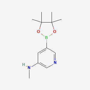 molecular formula C12H19BN2O2 B594671 N-甲基-5-(4,4,5,5-四甲基-1,3,2-二氧杂硼环-2-基)吡啶-3-胺 CAS No. 1257431-48-3