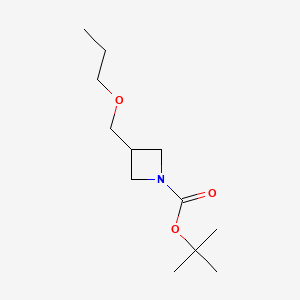 molecular formula C12H23NO3 B594682 N-BOC-3-(Propoxymethyl)azetidine CAS No. 1373233-10-3