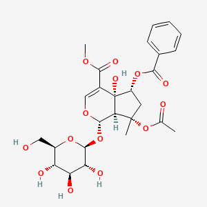 molecular formula C26H32O14 B594718 6-O-Benzoylphlorigidoside B CAS No. 1246012-24-7