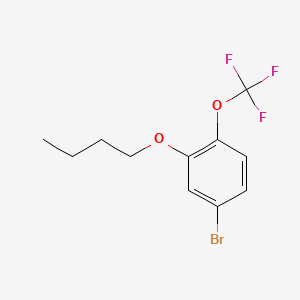 molecular formula C11H12BrF3O2 B594768 4-Bromo-2-butoxy-1-(trifluoromethoxy)benzene CAS No. 1355246-82-0