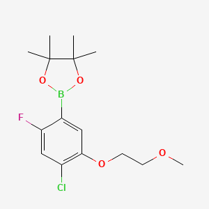 molecular formula C15H21BClFO4 B594799 2-(4-氯-2-氟-5-(2-甲氧基乙氧基)苯基)-4,4,5,5-四甲基-1,3,2-二氧杂硼环 CAS No. 1256360-21-0