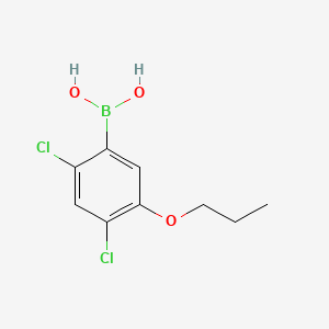 molecular formula C9H11BCl2O3 B595091 (2,4-Dichloro-5-propoxyphenyl)boronic acid CAS No. 1256346-45-8