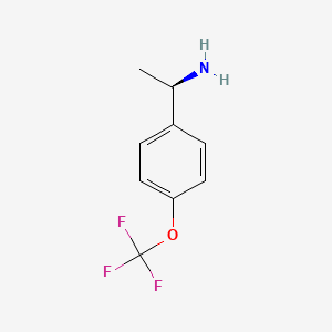 molecular formula C9H10F3NO B595166 (R)-1-(4-(Trifluoromethoxy)phenyl)ethanamine CAS No. 1209050-26-9