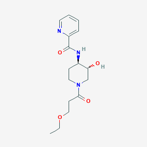 molecular formula C16H23N3O4 B5951713 N-[(3R*,4R*)-1-(3-ethoxypropanoyl)-3-hydroxypiperidin-4-yl]pyridine-2-carboxamide 