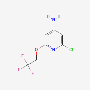 molecular formula C7H6ClF3N2O B595296 2-Chloro-6-(2,2,2-trifluoroethoxy)pyridin-4-amine CAS No. 1346809-43-5