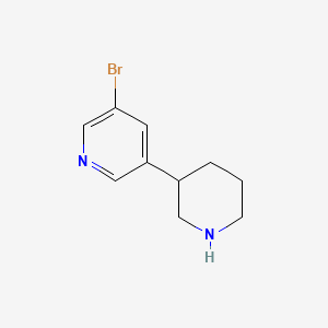 molecular formula C10H13BrN2 B595377 3-Bromo-5-(piperidin-3-yl)pyridine CAS No. 1260654-37-2