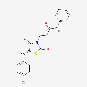 3-[5-(4-chlorobenzylidene)-2,4-dioxo-1,3-thiazolidin-3-yl]-N-phenylpropanamide