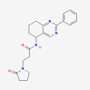 3-(2-oxo-1-pyrrolidinyl)-N-(2-phenyl-5,6,7,8-tetrahydro-5-quinazolinyl)propanamide