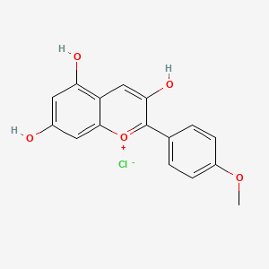 molecular formula C16H13ClO5 B595482 Kaempferidinidin chloride CAS No. 13544-52-0