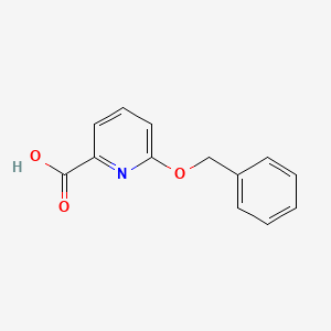 molecular formula C13H11NO3 B595580 6-(Benzyloxy)pyridine-2-carboxylic acid CAS No. 149744-21-8