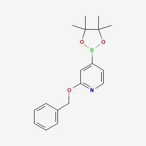 molecular formula C18H22BNO3 B595625 2-(Benzyloxy)-4-(4,4,5,5-tetramethyl-1,3,2-dioxaborolan-2-YL)pyridine CAS No. 1256359-03-1