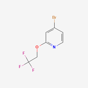 molecular formula C7H5BrF3NO B595639 4-Bromo-2-(2,2,2-trifluoroethoxy)pyridine CAS No. 161952-62-1