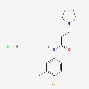 N-(4-bromo-3-methylphenyl)-3-pyrrolidin-1-ylpropanamide;hydrochloride