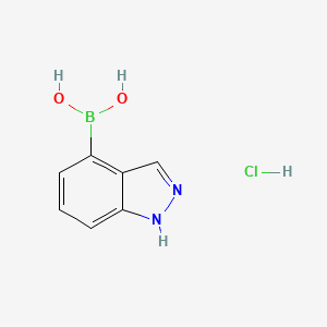 molecular formula C7H8BClN2O2 B595672 (1H-Indazol-4-yl)boronic acid hydrochloride CAS No. 1252598-02-9