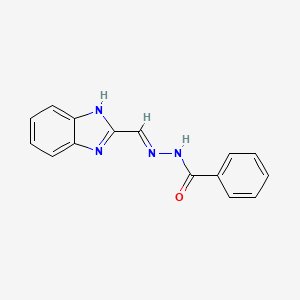 molecular formula C15H12N4O B5956981 N'-[(E)-(1H-1,3-BENZODIAZOL-2-YL)METHYLIDENE]BENZOHYDRAZIDE 