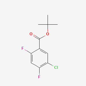molecular formula C11H11ClF2O2 B595718 Tert-butyl 5-chloro-2,4-difluorobenzoate CAS No. 1354961-13-9