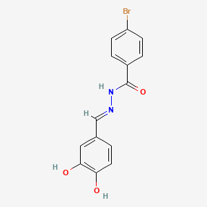 molecular formula C14H11BrN2O3 B5957678 4-bromo-N'-[(E)-(3,4-dihydroxyphenyl)methylidene]benzohydrazide 