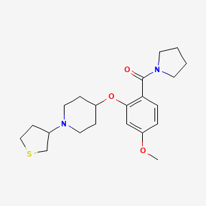 molecular formula C21H30N2O3S B5957707 4-[5-methoxy-2-(1-pyrrolidinylcarbonyl)phenoxy]-1-(tetrahydro-3-thienyl)piperidine 