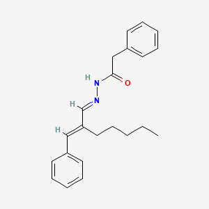 molecular formula C22H26N2O B5957854 N-[(E)-[(2E)-2-benzylideneheptylidene]amino]-2-phenylacetamide 