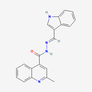 N'-[(E)-(1H-INDOL-3-YL)METHYLIDENE]-2-METHYLQUINOLINE-4-CARBOHYDRAZIDE