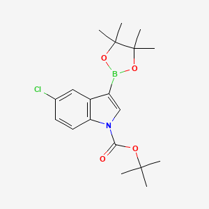 molecular formula C19H25BClNO4 B595938 tert-Butyl 5-chloro-3-(4,4,5,5-tetramethyl-1,3,2-dioxaborolan-2-yl)-1H-indole-1-carboxylate CAS No. 1218790-30-7