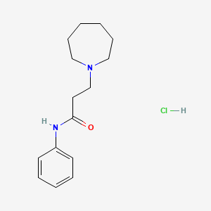 molecular formula C15H23ClN2O B5959395 3-(azepan-1-yl)-N-phenylpropanamide;hydrochloride 