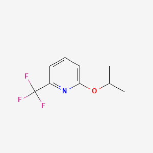 molecular formula C9H10F3NO B595944 2-异丙氧基-6-(三氟甲基)吡啶 CAS No. 1255574-41-4