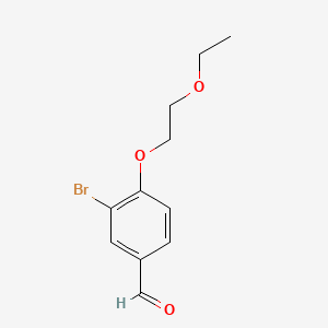 molecular formula C11H13BrO3 B596047 3-溴-4-(2-乙氧基乙氧基)苯甲醛 CAS No. 1341950-98-8