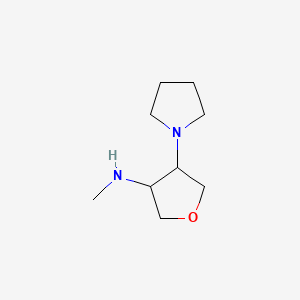 molecular formula C9H18N2O B596060 N-Methyl-N-(4-pyrrolidin-1-yltetrahydrofuran-3-yl)amine CAS No. 1215672-25-5