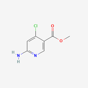 molecular formula C7H7ClN2O2 B596096 Methyl 6-amino-4-chloronicotinate CAS No. 1260666-60-1