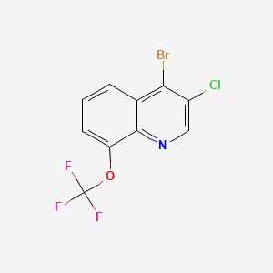 molecular formula C10H4BrClF3NO B596141 4-Bromo-3-chloro-8-(trifluoromethoxy)quinoline CAS No. 1208755-84-3