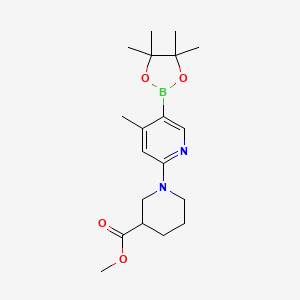 B596156 Methyl 1-(4-methyl-5-(4,4,5,5-tetramethyl-[1,3,2]dioxaborolan-2-yl)pyridin-2-yl)piperidine-3-carboxylate CAS No. 1356363-82-0