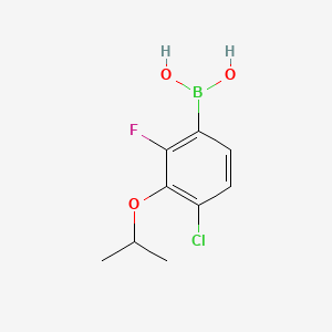 molecular formula C9H11BClFO3 B596183 4-氯-2-氟-3-异丙氧基苯硼酸 CAS No. 1256346-21-0