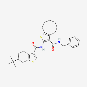 molecular formula C31H38N2O2S2 B5961903 N-benzyl-2-{[(6-tert-butyl-4,5,6,7-tetrahydro-1-benzothien-3-yl)carbonyl]amino}-4,5,6,7,8,9-hexahydrocycloocta[b]thiophene-3-carboxamide 