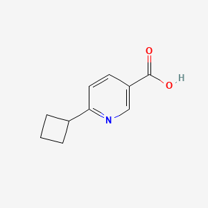 molecular formula C10H11NO2 B596232 6-Cyclobutylnicotinic acid CAS No. 1228112-80-8