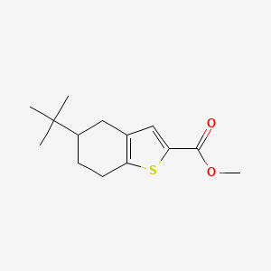 molecular formula C14H20O2S B5962785 methyl 5-tert-butyl-4,5,6,7-tetrahydro-1-benzothiophene-2-carboxylate 